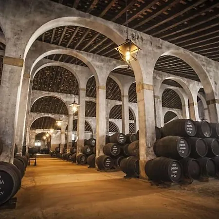 En Pleno Centro De Jerez de la Frontera